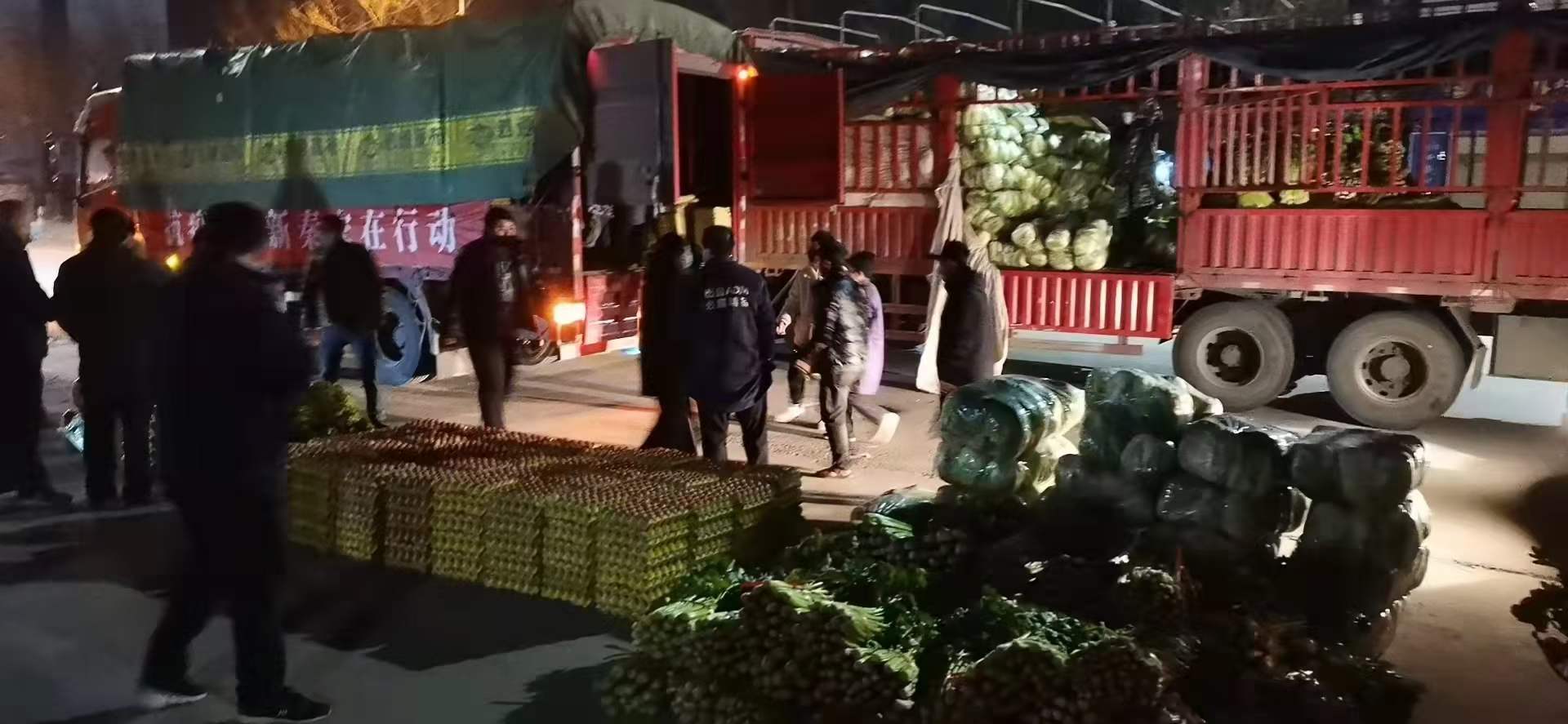 感謝黨和政府對(duì)我公司送來新鮮蔬菜，愿，國無恙，山河永固，加油，西安！